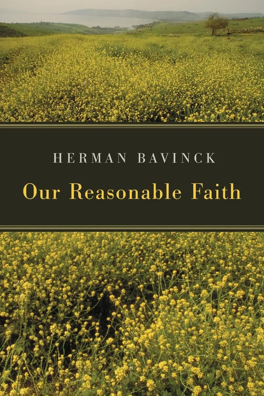 Cover: 9780802862730 | Our Reasonable Faith | Herman Bavinck | Taschenbuch | Englisch