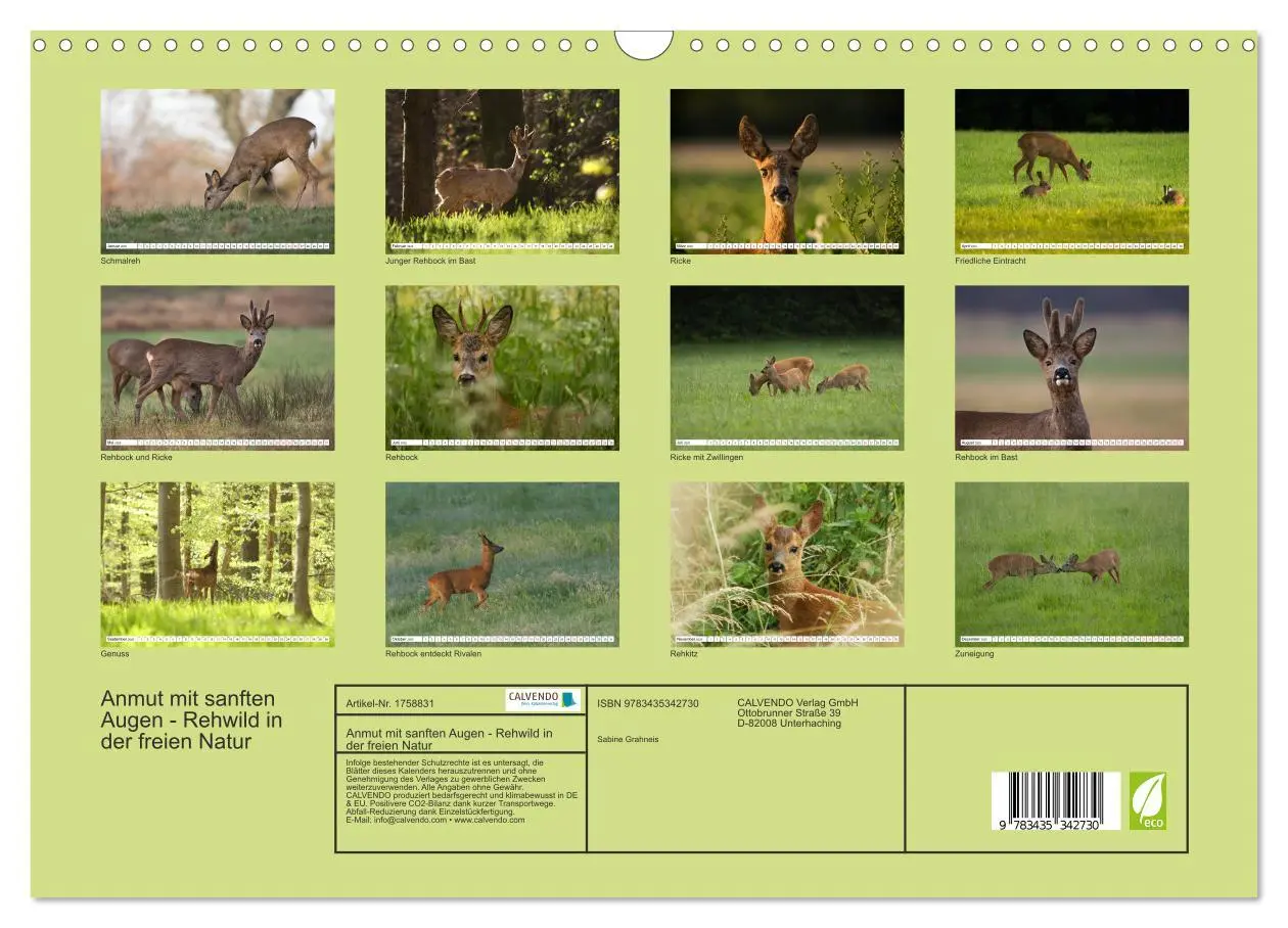 Bild: 9783435342730 | Anmut mit sanften Augen - Rehwild in der freien Natur (Wandkalender...