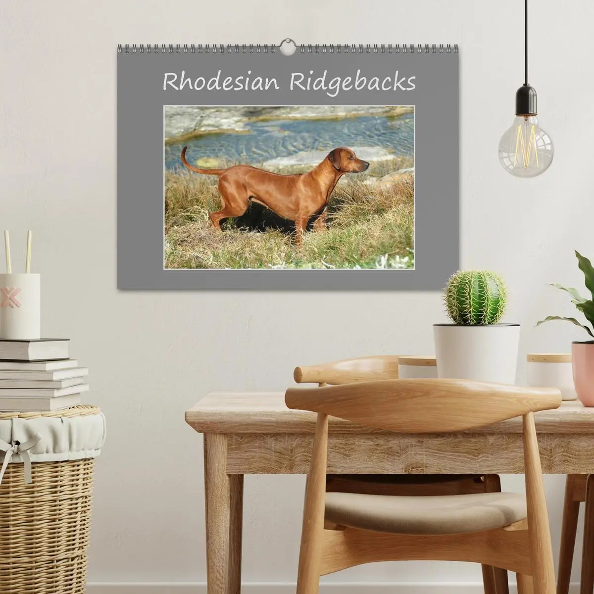 Bild: 9783516072730 | Rhodesian Ridgebacks (Wandkalender 2026 DIN A3 quer), CALVENDO...