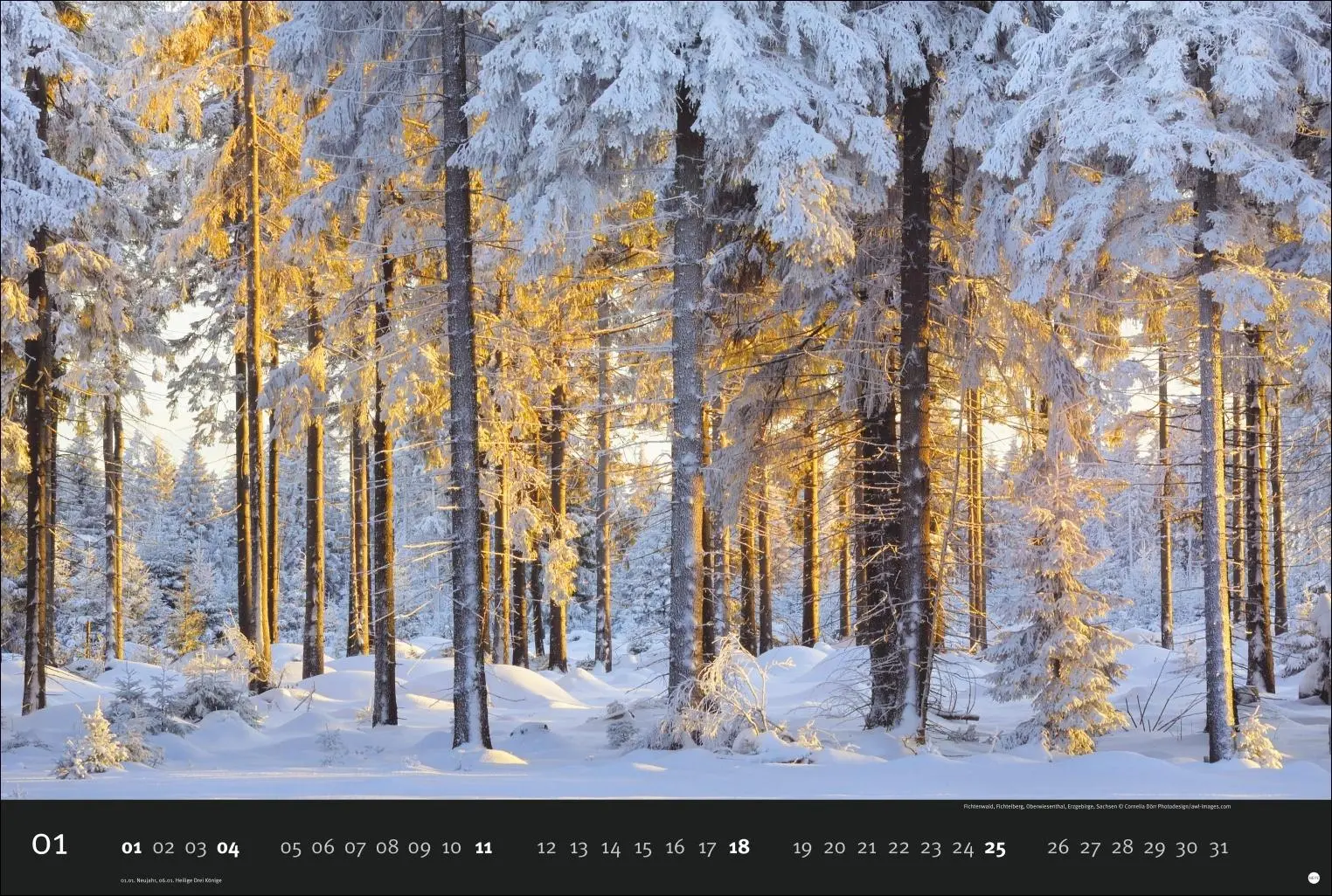 Bild: 9783756412730 | Deutschlands Naturparadiese Kalender 2026 | Harenberg | Kalender