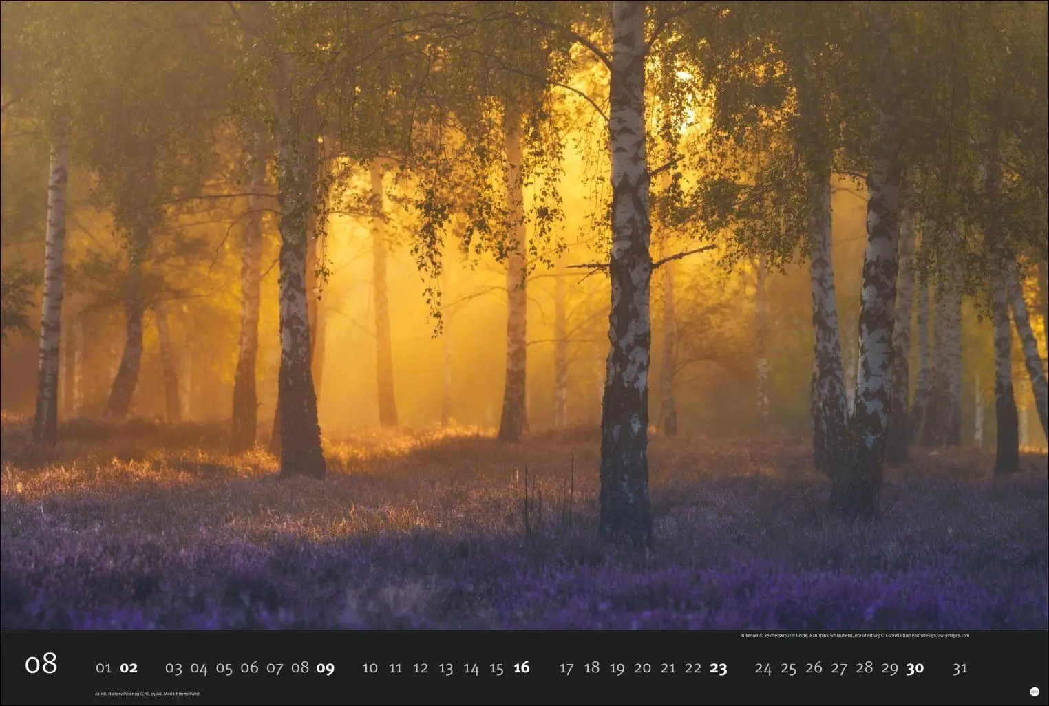 Bild: 9783756412730 | Deutschlands Naturparadiese Kalender 2026 | Harenberg | Kalender