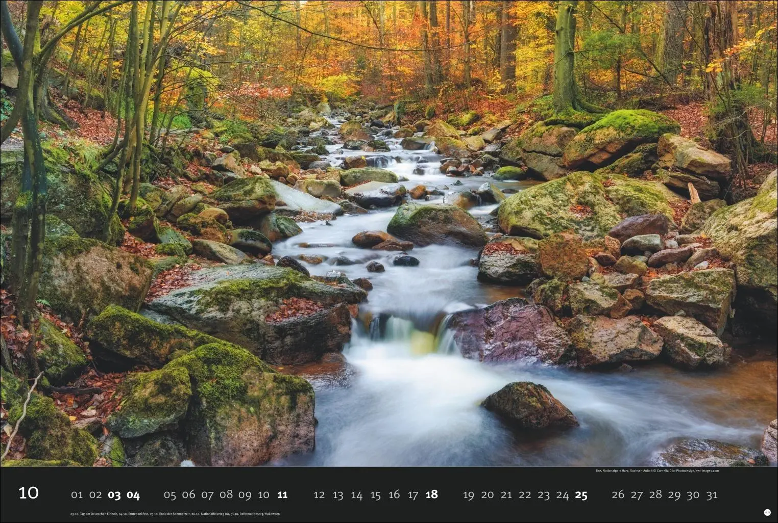 Bild: 9783756412730 | Deutschlands Naturparadiese Kalender 2026 | Harenberg | Kalender