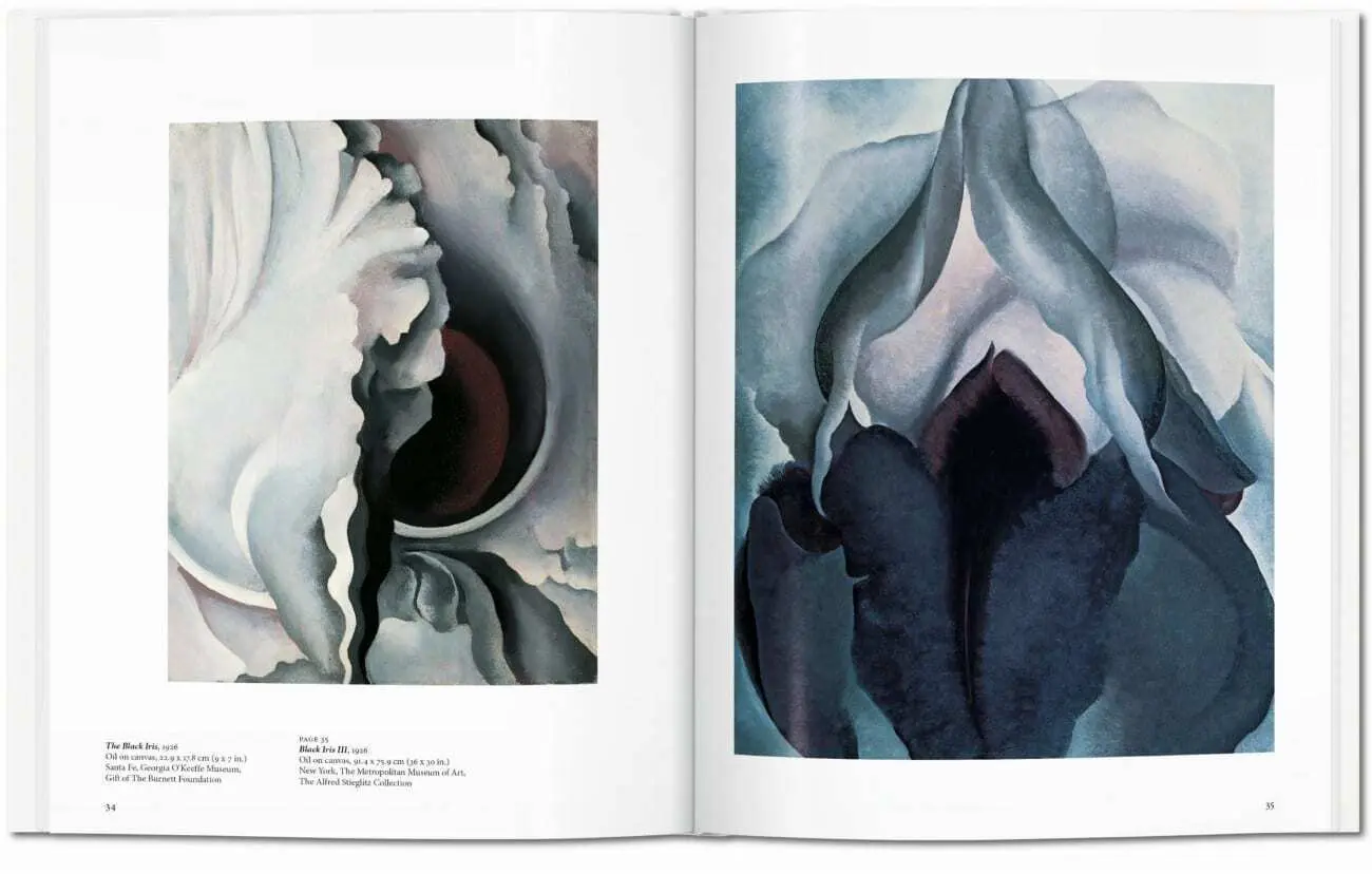 Bild: 9783836532730 | O'Keeffe | Britta Benke | Buch | Französisch | 2024 | TASCHEN