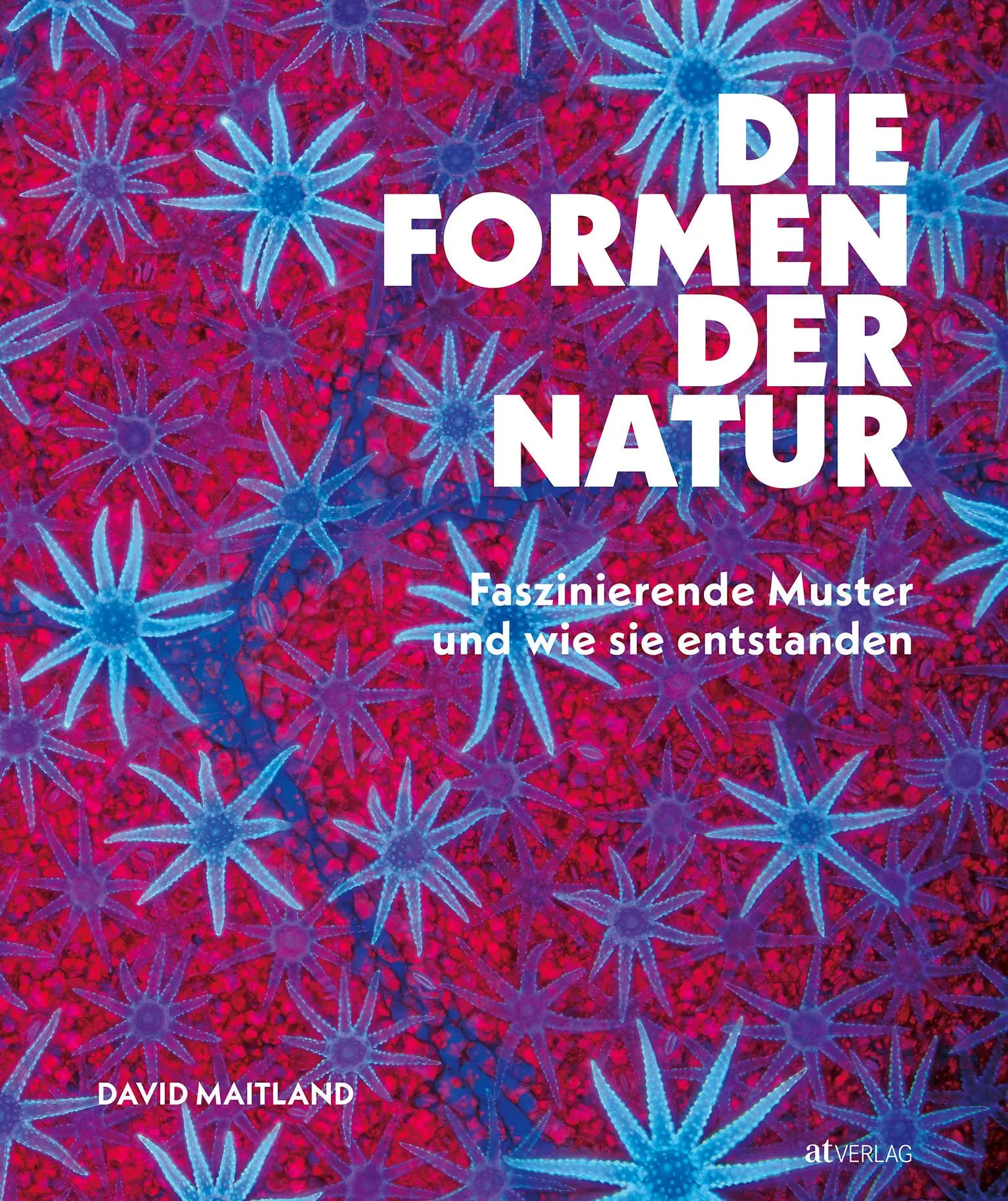 Cover: 9783039022830 | Die Formen der Natur | Faszinierende Muster und wie sie entstanden
