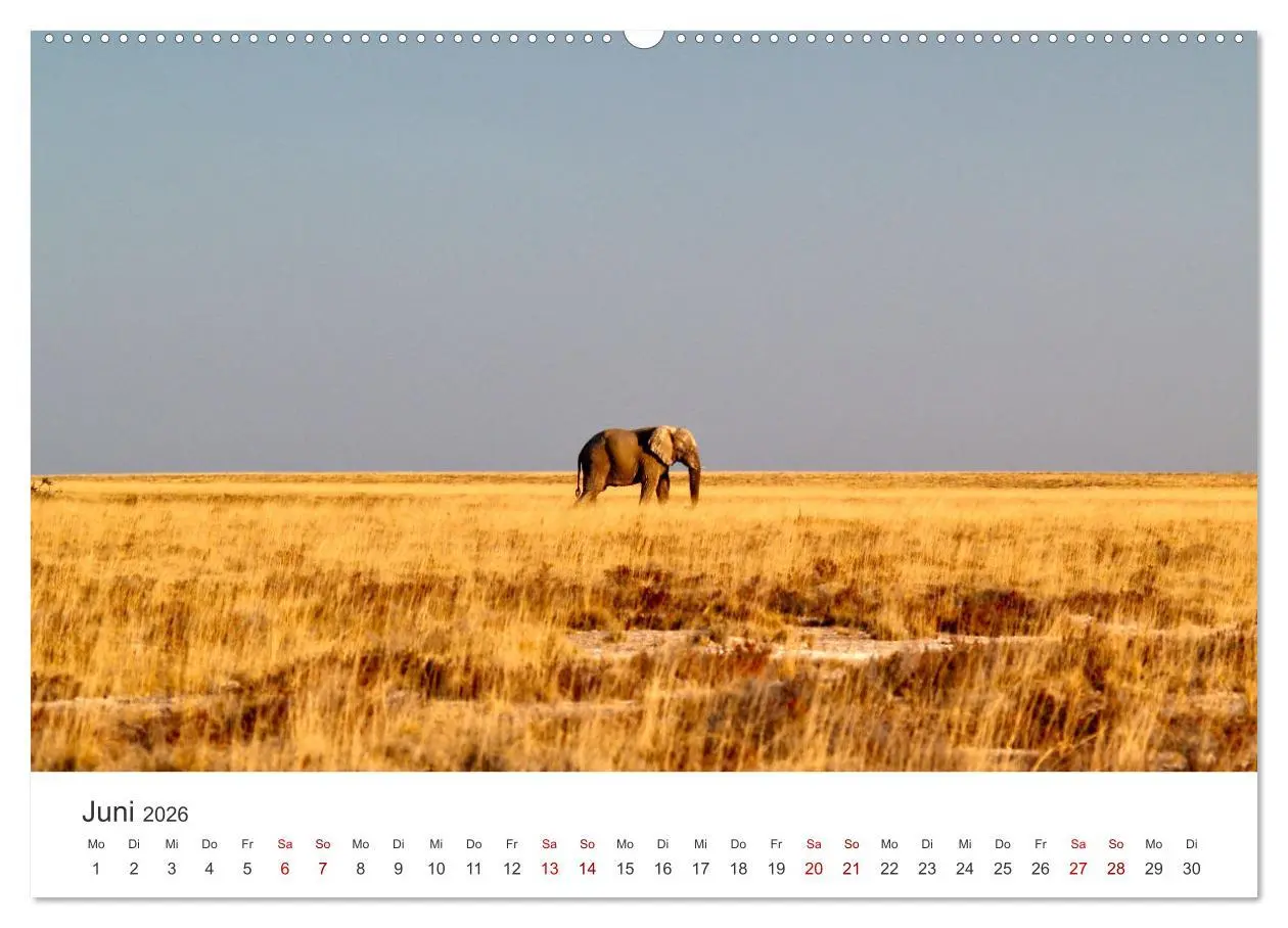 Bild: 9783457592830 | Namibia - Ein Paradies auf Erden. (Wandkalender 2026 DIN A2 quer),...