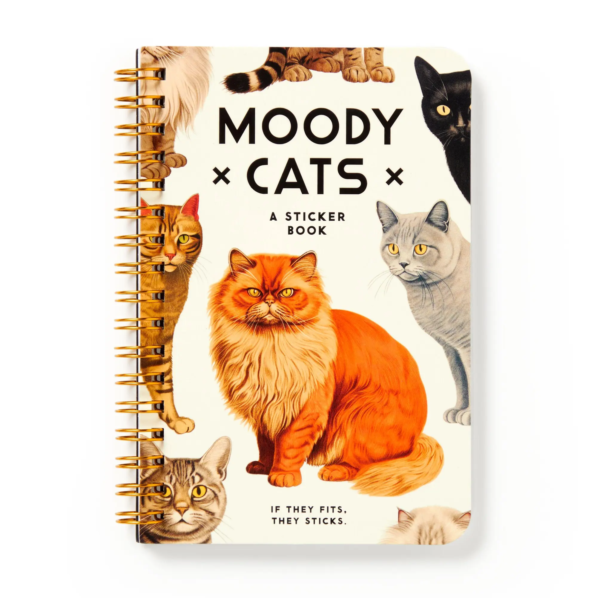 Cover: 9780735382930 | Moody Cats Sticker Book | Brass Brass Monkey (u. a.) | Taschenbuch