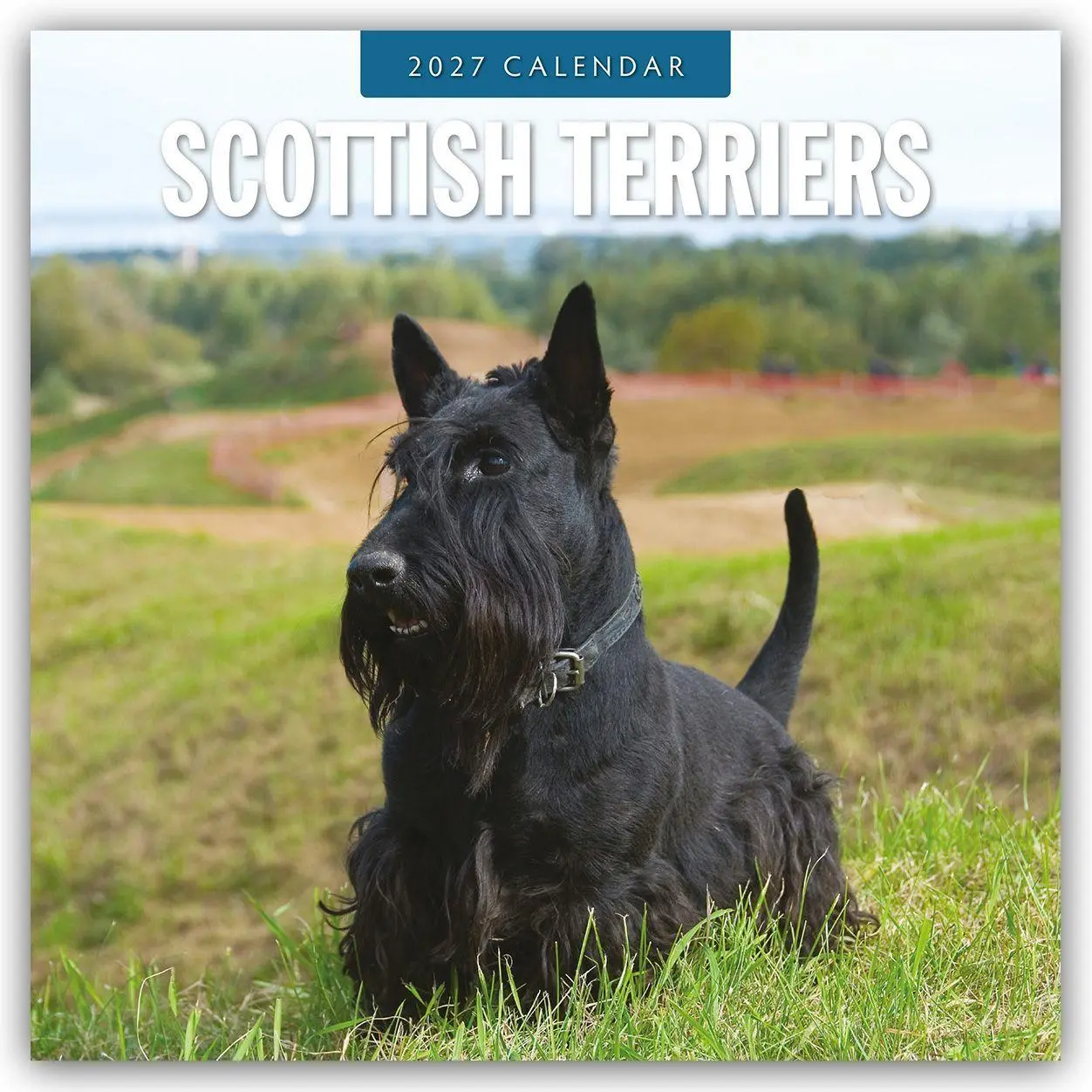 Cover: 9781837012930 | Scottish Terrier - Scotchterrier 2027 - 16-Monatskalender | Robin Red