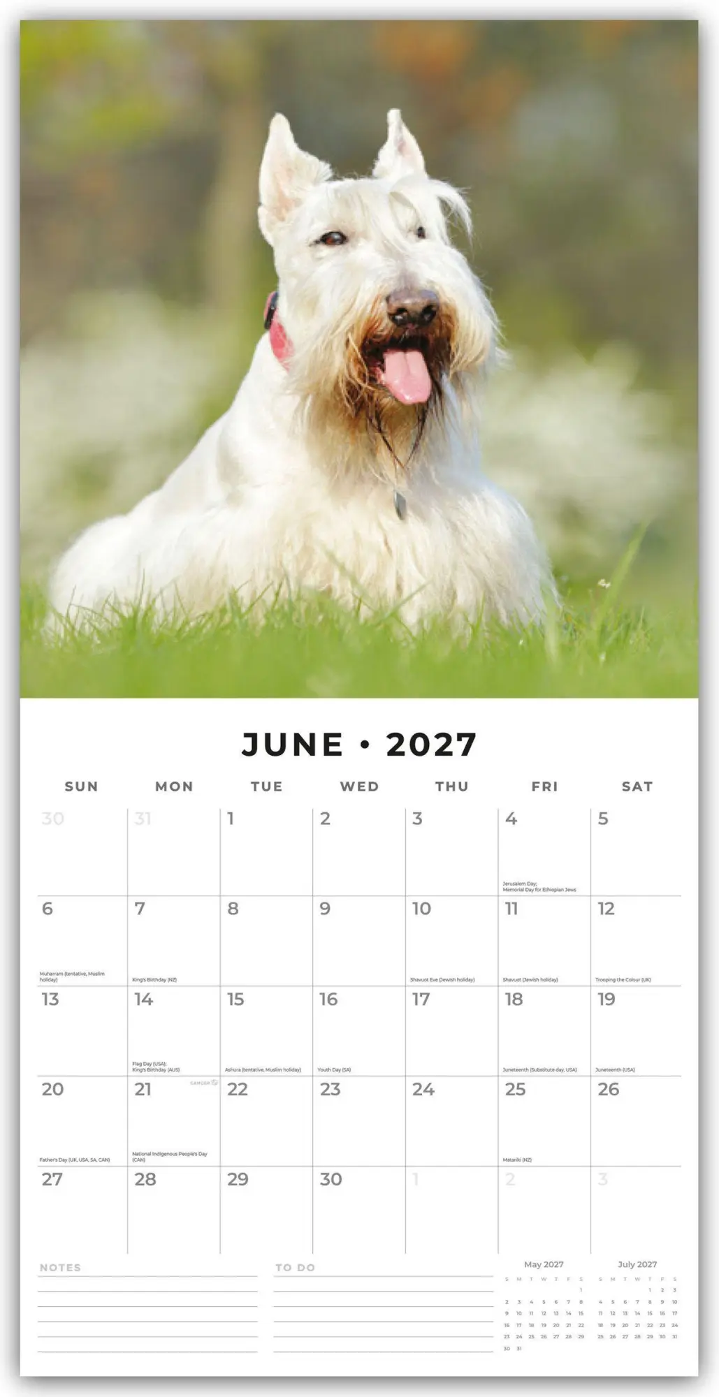 Bild: 9781837012930 | Scottish Terrier - Scotchterrier 2027 - 16-Monatskalender | Robin Red