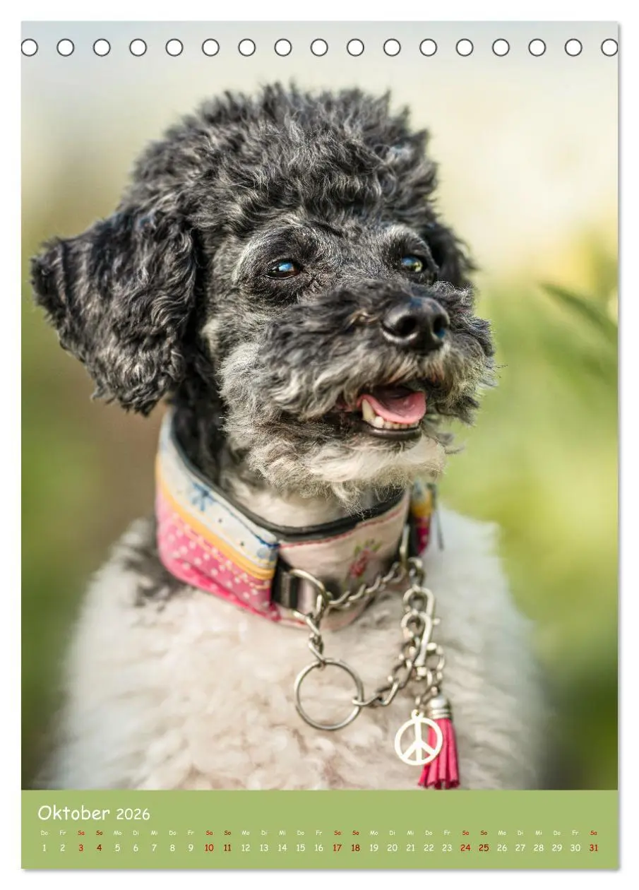 Bild: 9783516362930 | Flora Canidae - der Hunde-Blühpflanzen-Kalender (Tischkalender 2026...