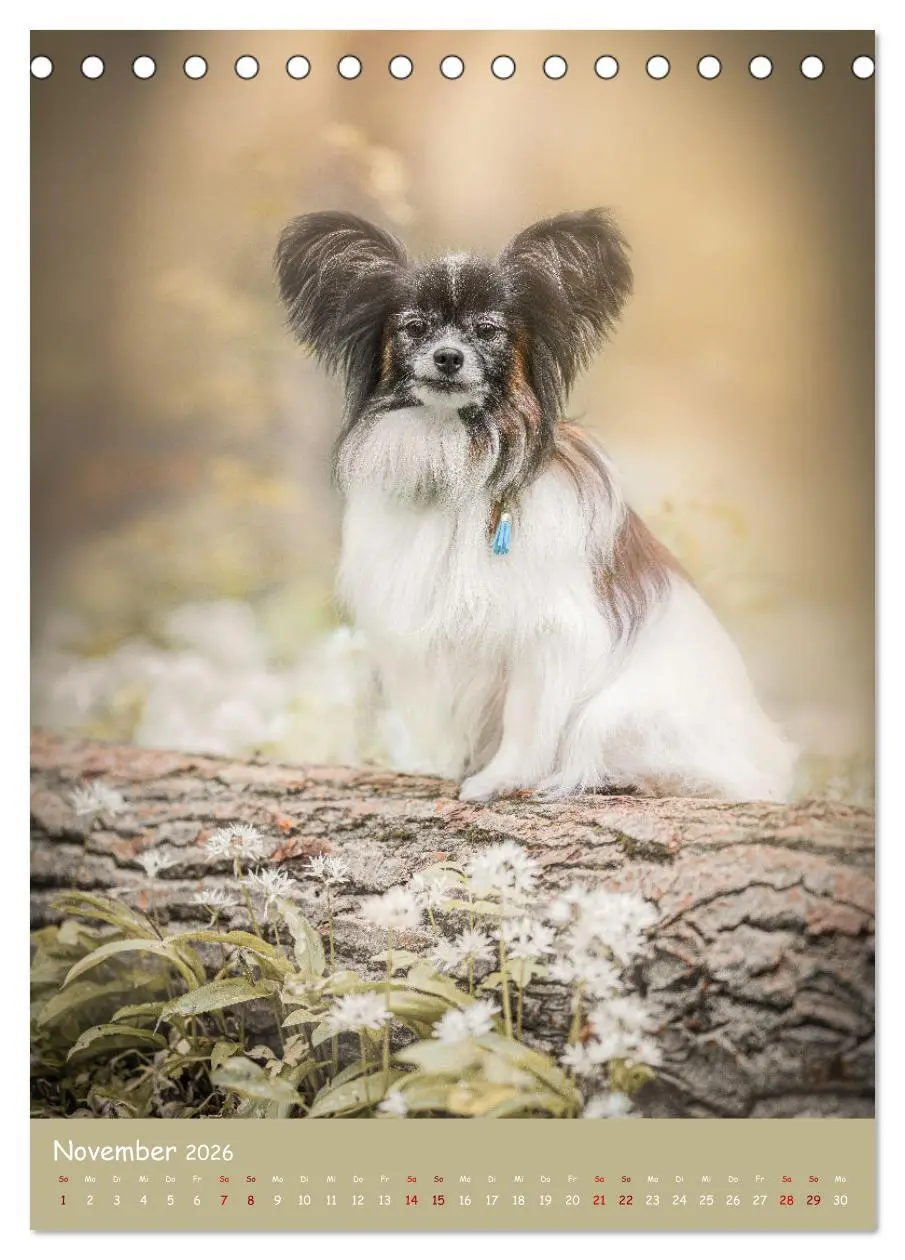 Bild: 9783516362930 | Flora Canidae - der Hunde-Blühpflanzen-Kalender (Tischkalender 2026...