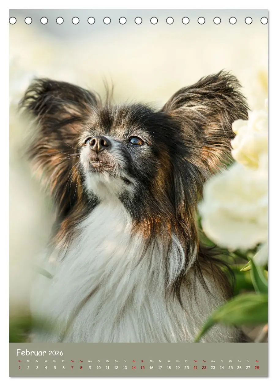 Bild: 9783516362930 | Flora Canidae - der Hunde-Blühpflanzen-Kalender (Tischkalender 2026...