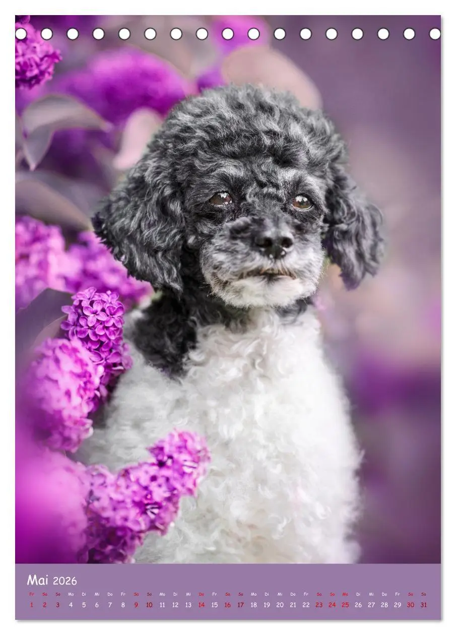 Bild: 9783516362930 | Flora Canidae - der Hunde-Blühpflanzen-Kalender (Tischkalender 2026...