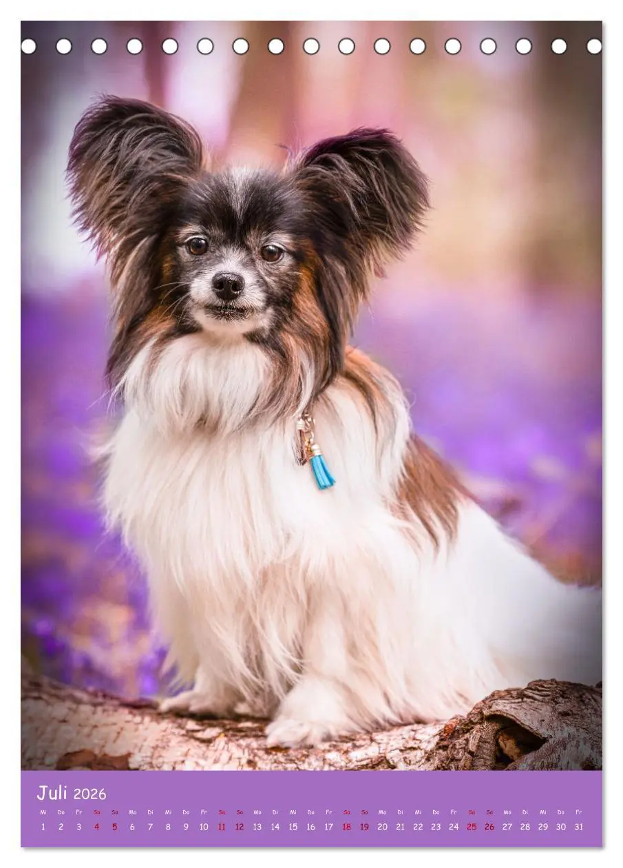 Bild: 9783516362930 | Flora Canidae - der Hunde-Blühpflanzen-Kalender (Tischkalender 2026...