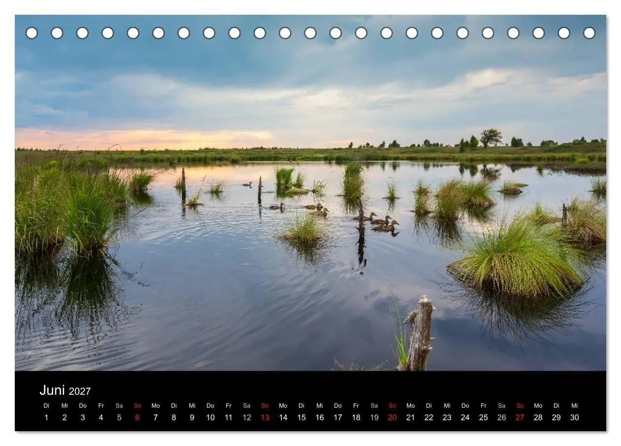 Bild: 9783569963030 | HOHES VENN - Einblicke in ein Hochmoor (Tischkalender 2027 DIN A5...