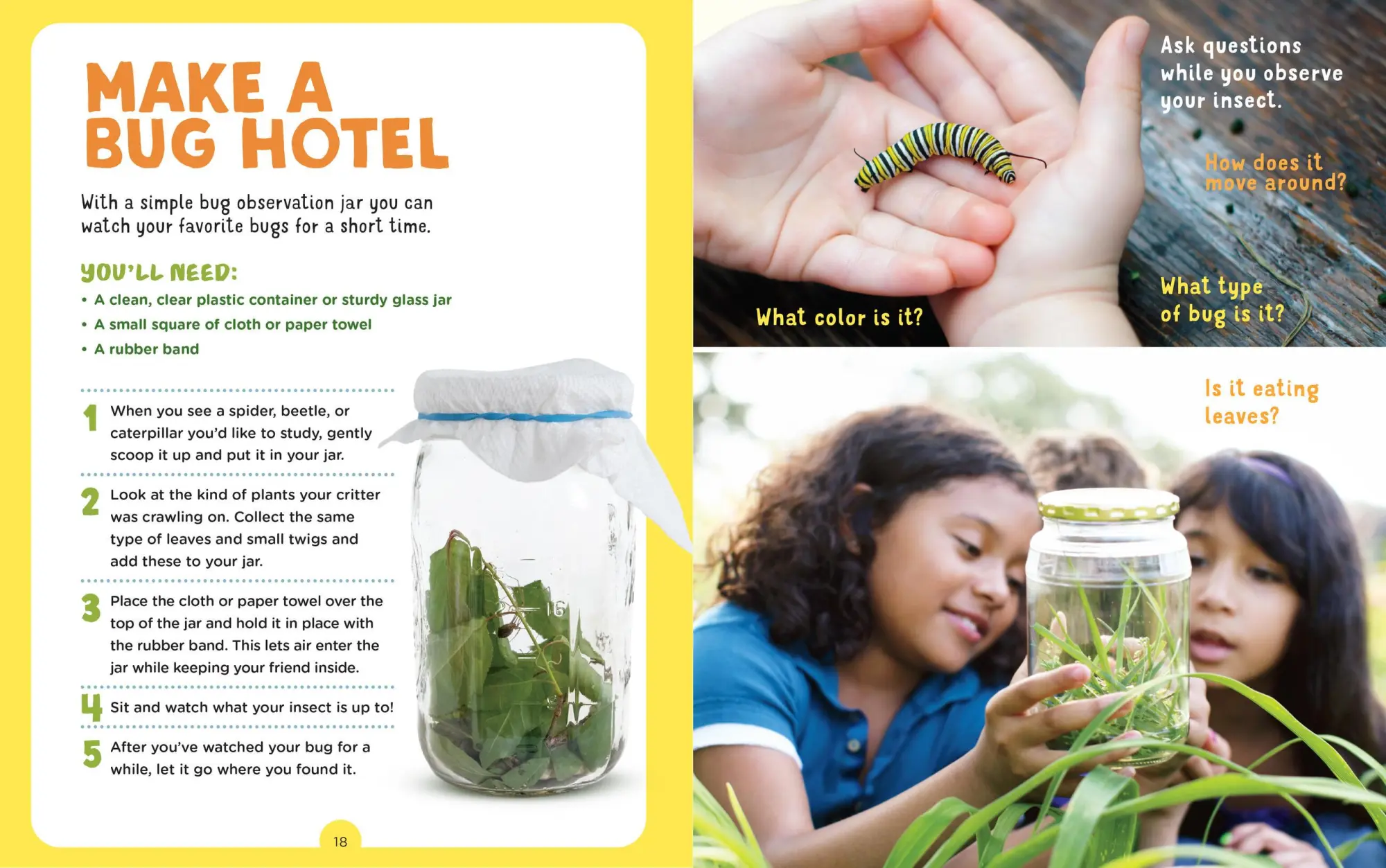 Bild: 9781635863130 | Backpack Explorer: Bug Hunt | What Will You Find? | Publishing | Buch