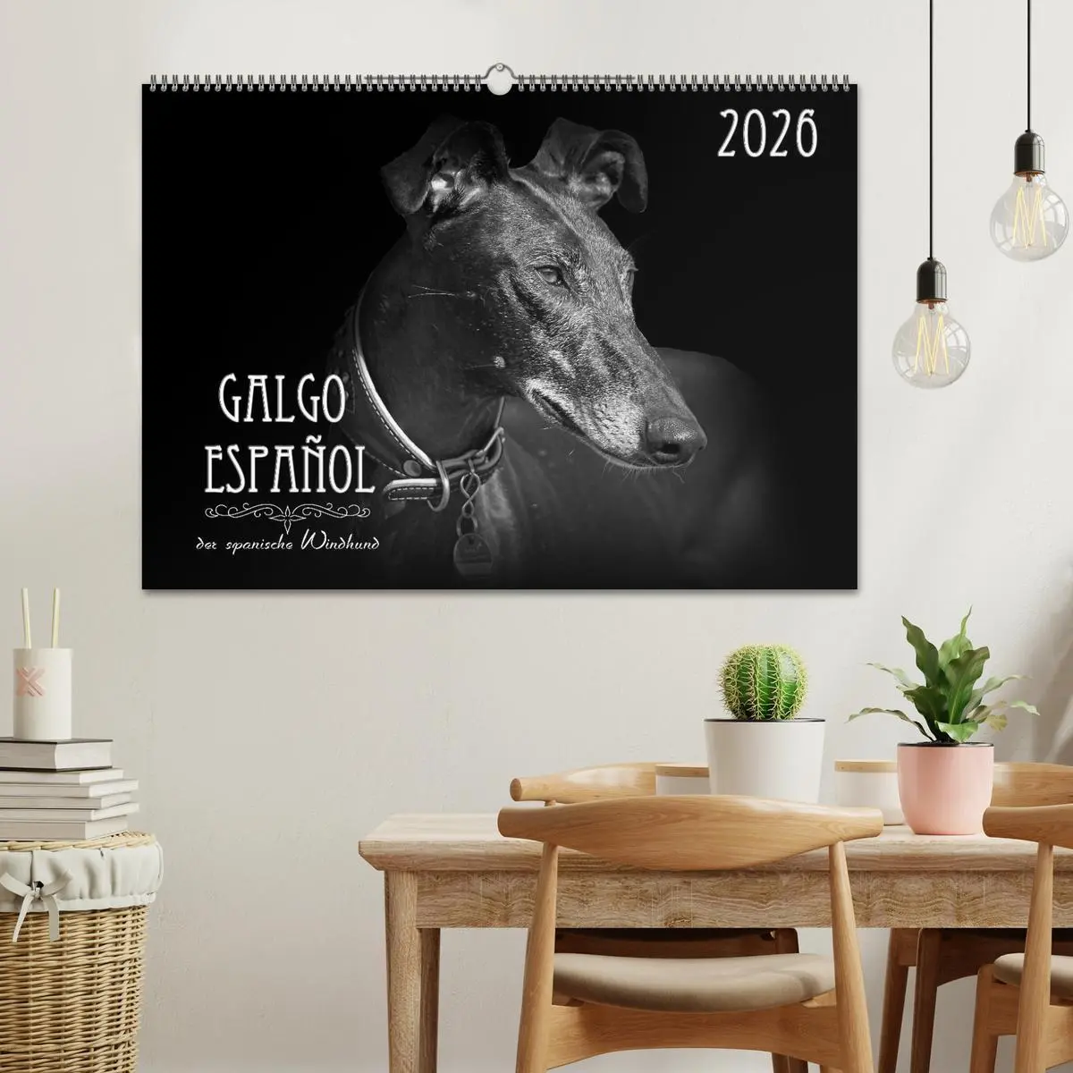 Bild: 9783457393130 | Galgo Español - der spanische Windhund 2026 (Wandkalender 2026 DIN...