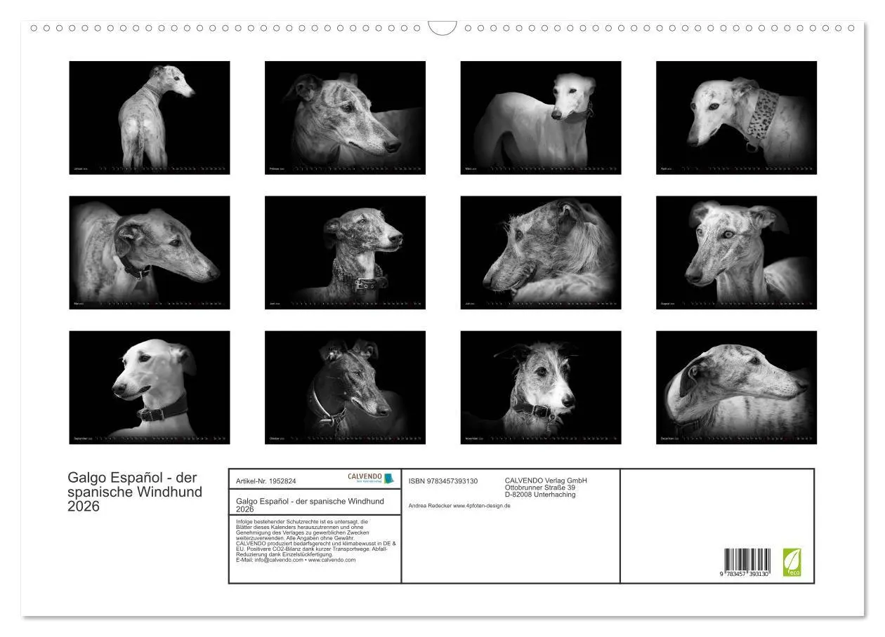 Bild: 9783457393130 | Galgo Español - der spanische Windhund 2026 (Wandkalender 2026 DIN...
