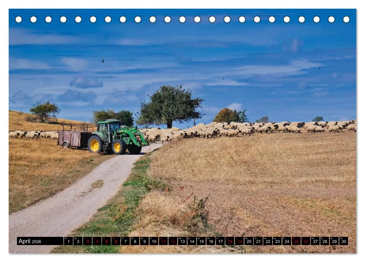 Bild: 9783457913130 | Das Mönchgut und Gager (Tischkalender 2026 DIN A5 quer), CALVENDO...