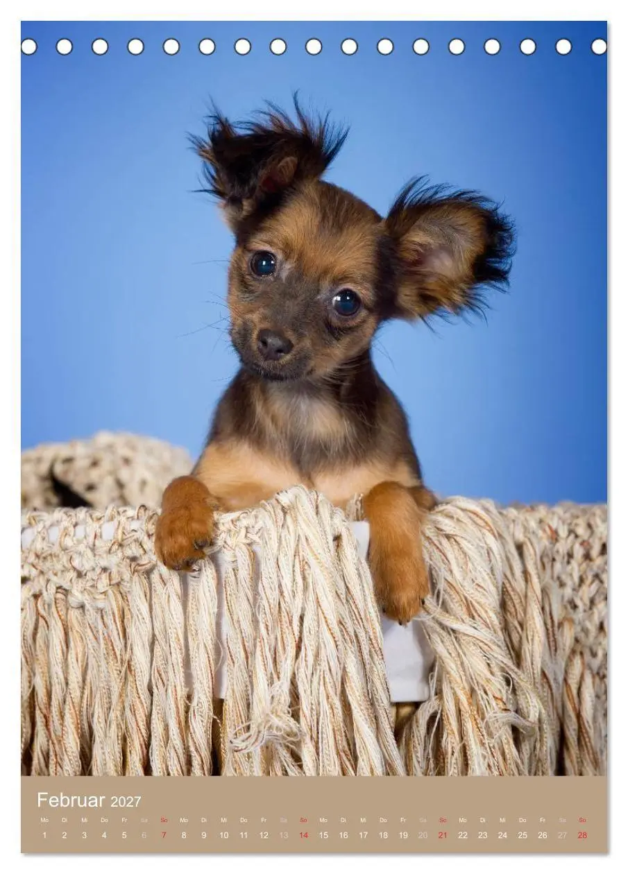Bild: 9783594153130 | Hundekinder (Tischkalender 2027 DIN A5 hoch), CALVENDO Monatskalender