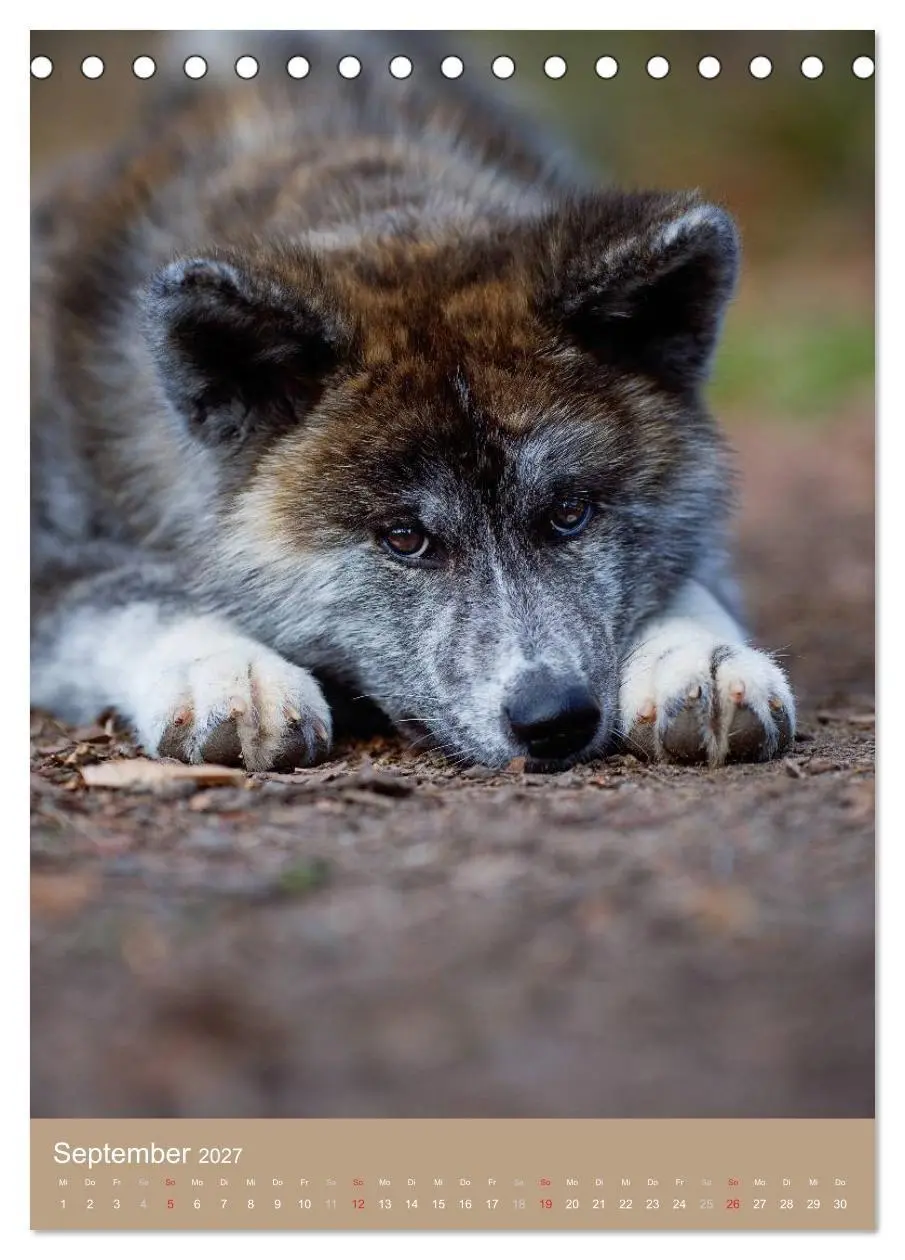 Bild: 9783594153130 | Hundekinder (Tischkalender 2027 DIN A5 hoch), CALVENDO Monatskalender