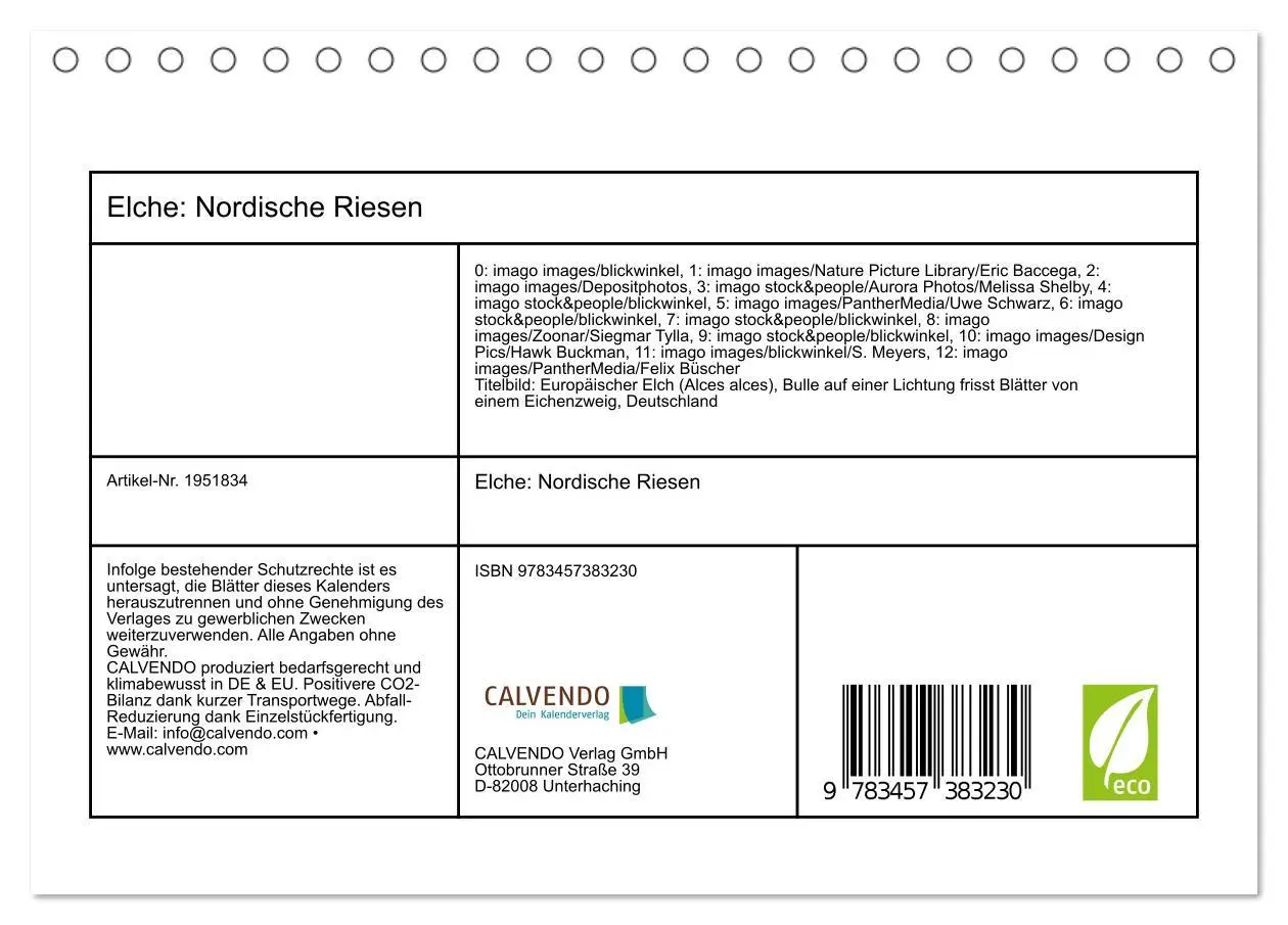 Bild: 9783457383230 | Elche: Nordische Riesen (Tischkalender 2026 DIN A5 quer), CALVENDO...