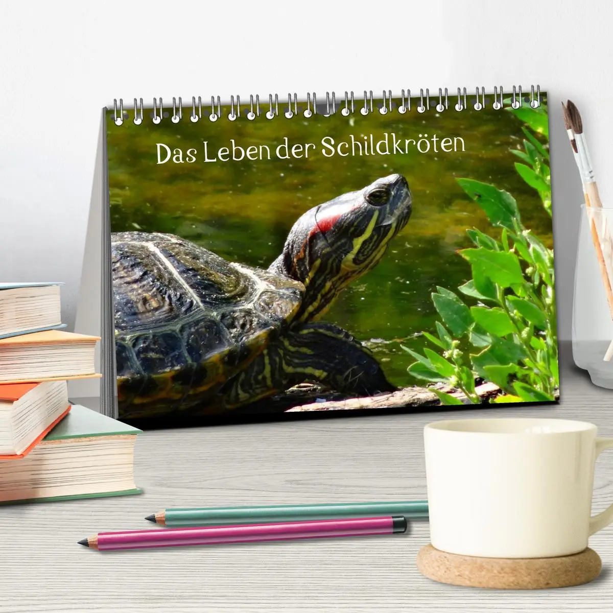 Bild: 9783516163230 | Das Leben der Schildkröten (Tischkalender 2026 DIN A5 quer),...