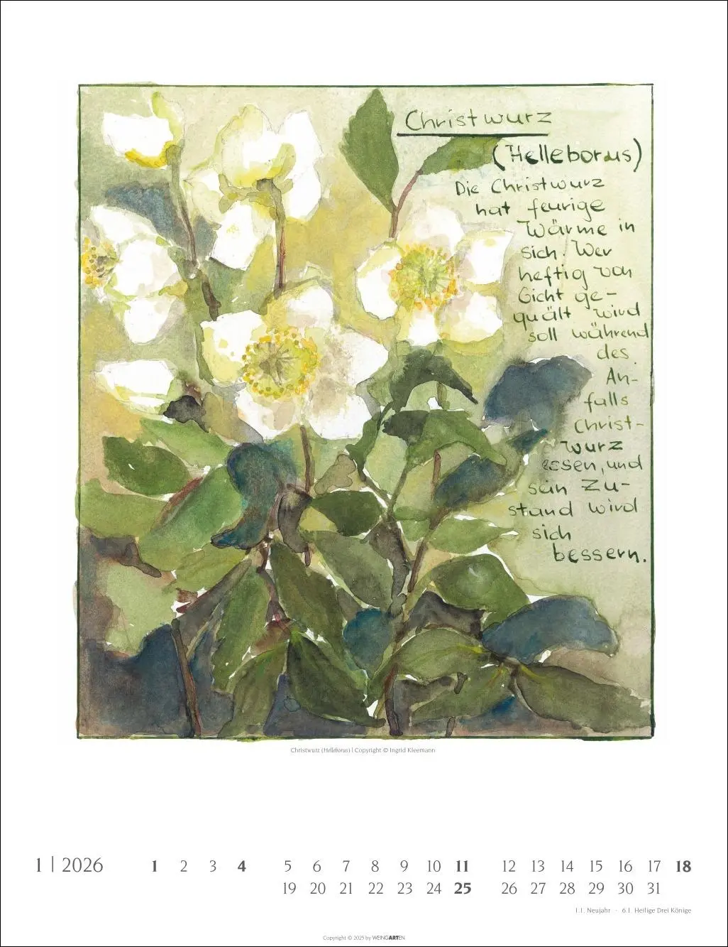 Bild: 9783839903230 | Hildegard von Bingen Kalender 2026 | Ingrid Kleemann | Kalender | 2026