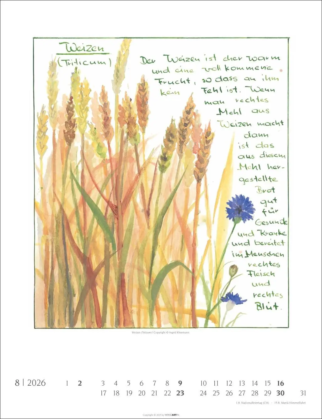 Bild: 9783839903230 | Hildegard von Bingen Kalender 2026 | Ingrid Kleemann | Kalender | 2026