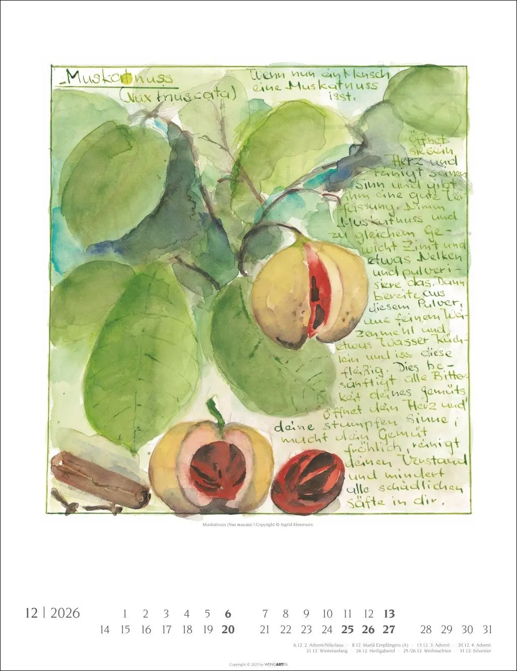 Bild: 9783839903230 | Hildegard von Bingen Kalender 2026 | Ingrid Kleemann | Kalender | 2026