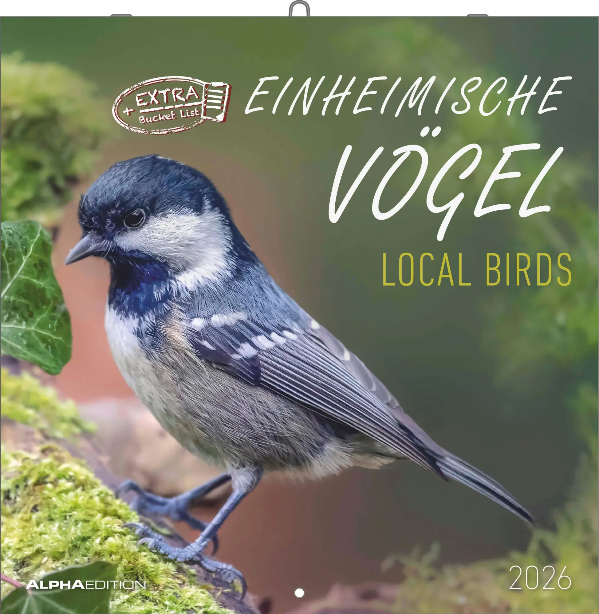 Cover: 4069095003330 | Einheimische Vögel 2026 - Broschürenkalender 30x30 cm (30x60...