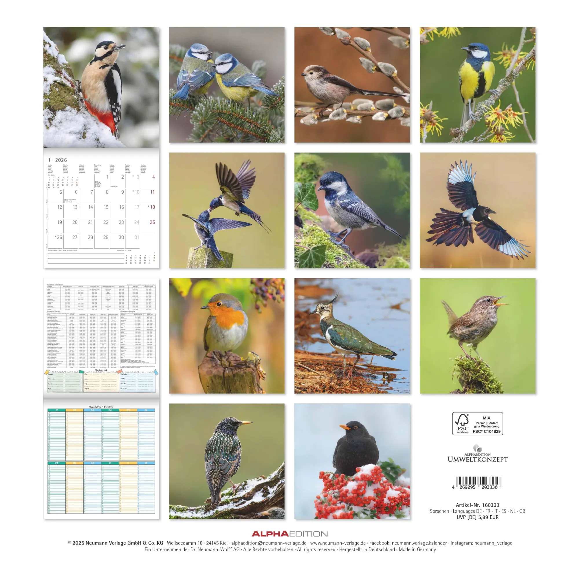 Rückseite: 4069095003330 | Einheimische Vögel 2026 - Broschürenkalender 30x30 cm (30x60...