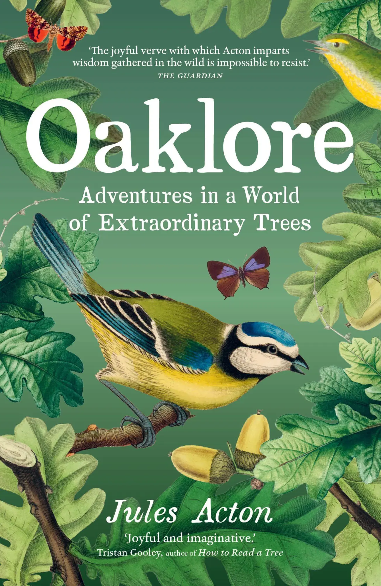 Cover: 9781778403330 | Oaklore | Adventures in a World of Extraordinary Trees | Jules Acton