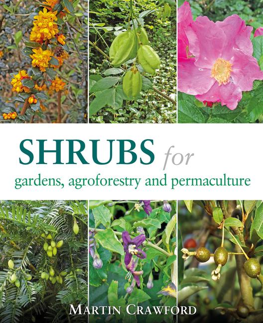Cover: 9781856233330 | Shrubs for Gardens, Agroforestry, and Permaculture | Martin Crawford