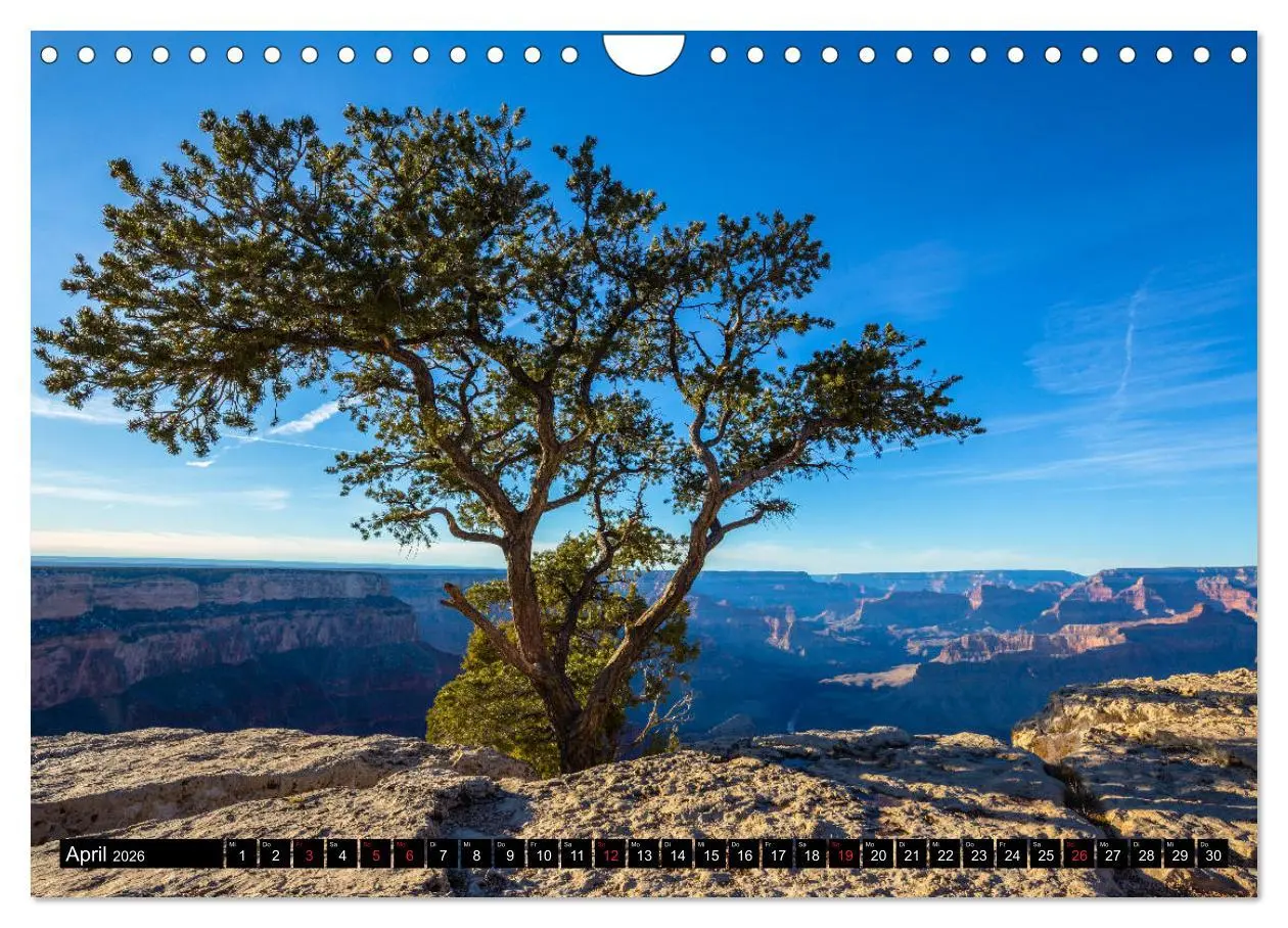 Bild: 9783457823330 | GRAND CANYON - Einblicke (Wandkalender 2026 DIN A4 quer), CALVENDO...