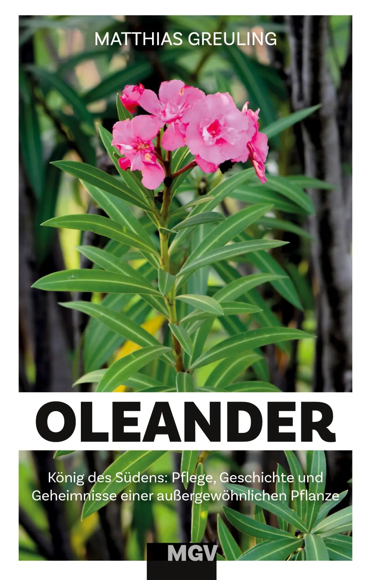Cover: 9783819263330 | Oleander - König des Südens | Matthias Greuling | Taschenbuch | 104 S.