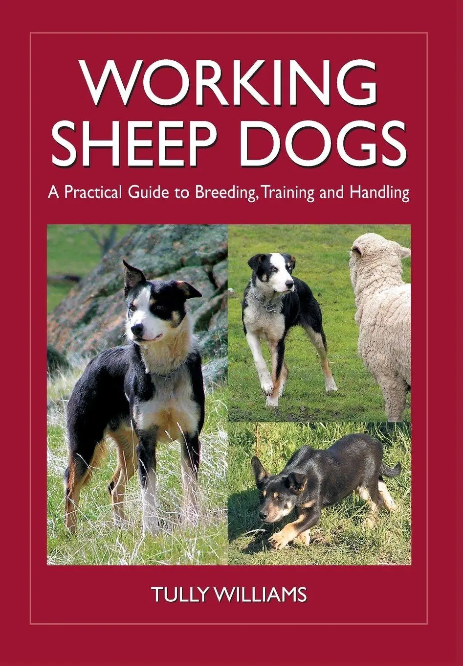 Cover: 9780643093430 | Working Sheep Dogs | Tully Williams | Taschenbuch | Englisch | 2008