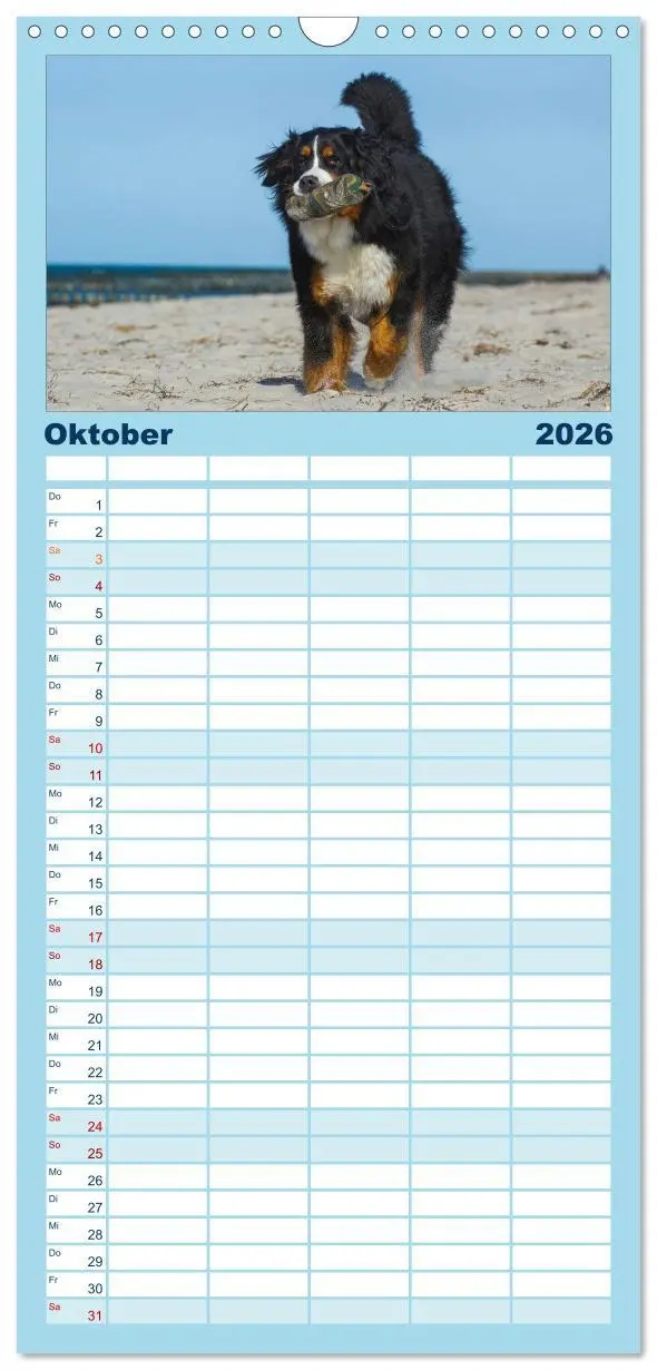 Bild: 9783516523430 | Familienplaner 2026 - Berner Sennenhund 2026 mit 5 Spalten...