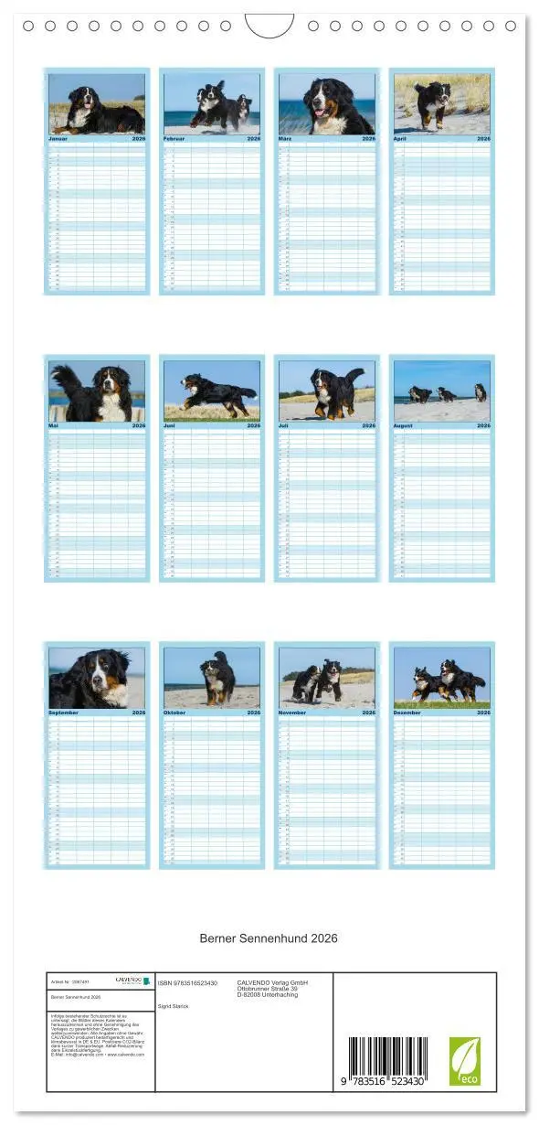 Bild: 9783516523430 | Familienplaner 2026 - Berner Sennenhund 2026 mit 5 Spalten...