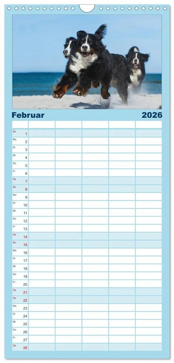 Bild: 9783516523430 | Familienplaner 2026 - Berner Sennenhund 2026 mit 5 Spalten...