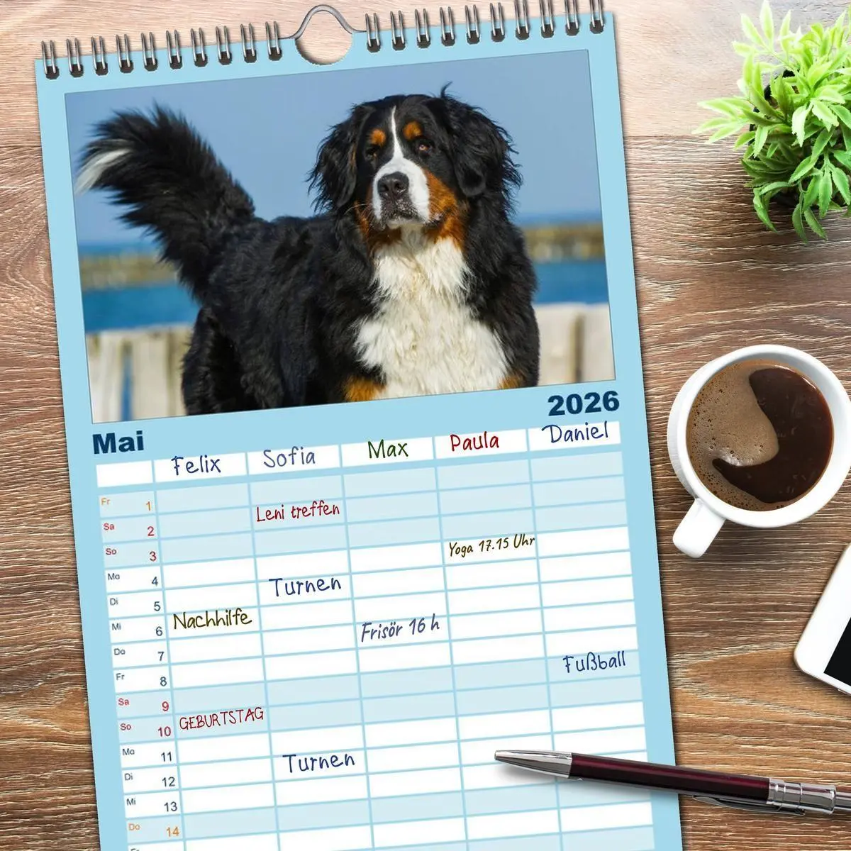 Bild: 9783516523430 | Familienplaner 2026 - Berner Sennenhund 2026 mit 5 Spalten...