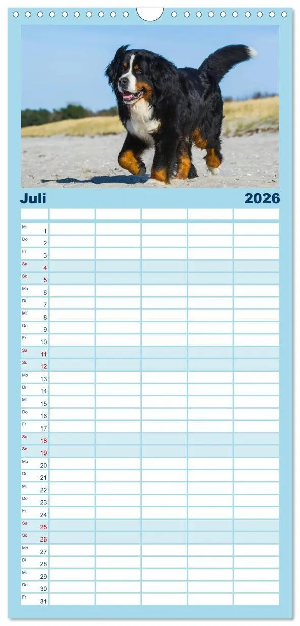 Bild: 9783516523430 | Familienplaner 2026 - Berner Sennenhund 2026 mit 5 Spalten...