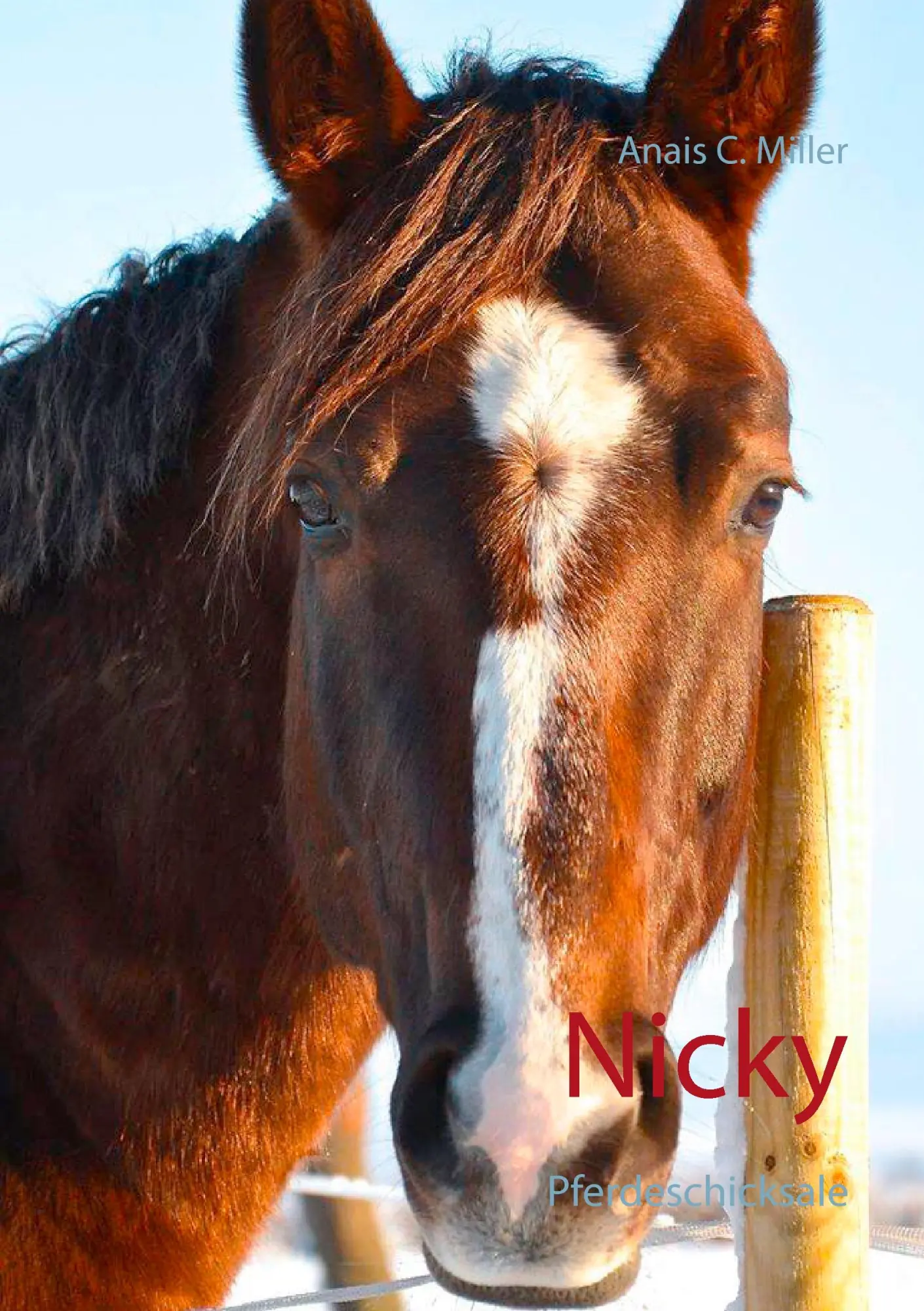 Cover: 9783743163430 | Nicky | Pferdeschicksale | Anais C. Miller | Taschenbuch | 88 S.