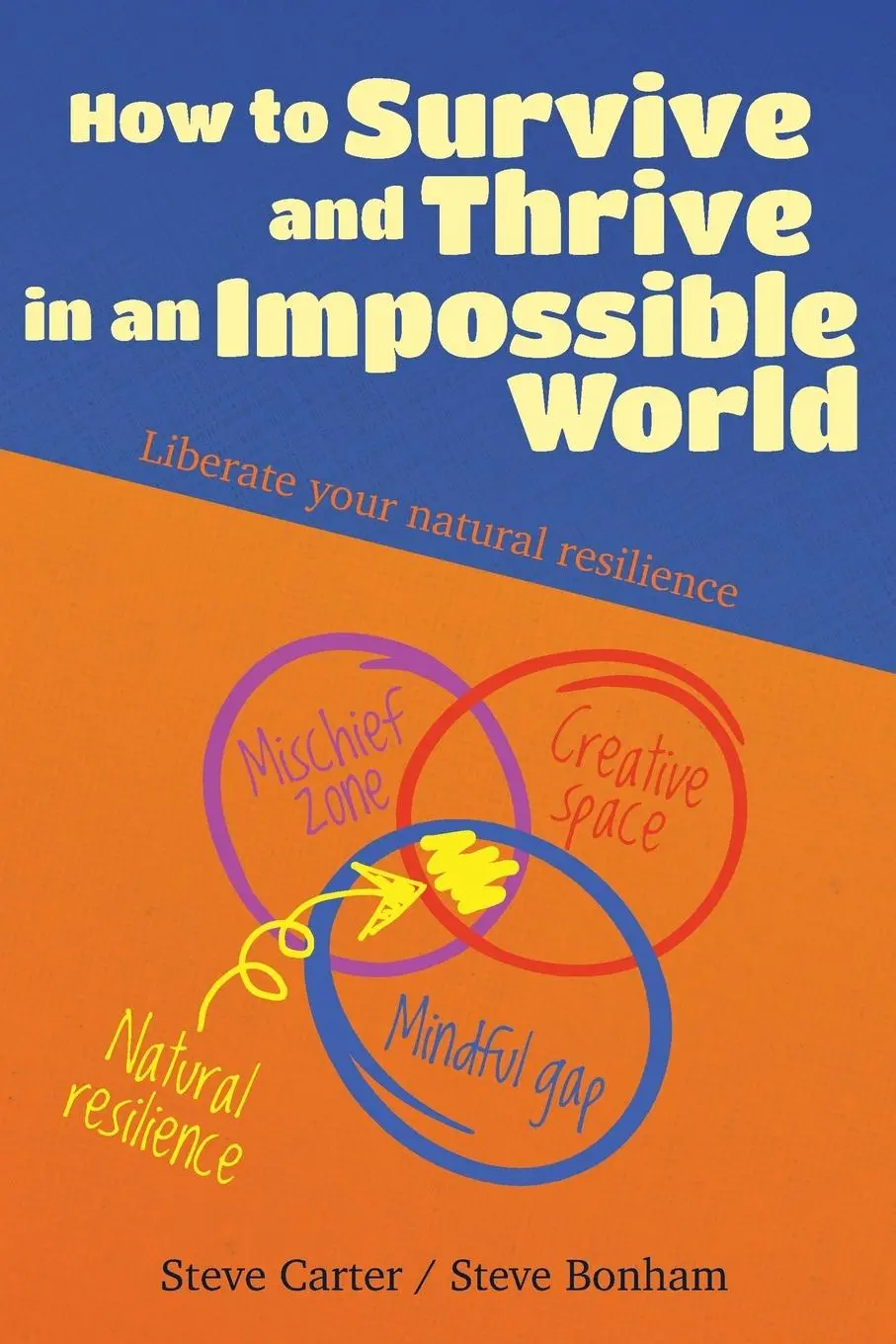 Cover: 9781738403530 | How to Survive and Thrive in an Impossible World (second edition)