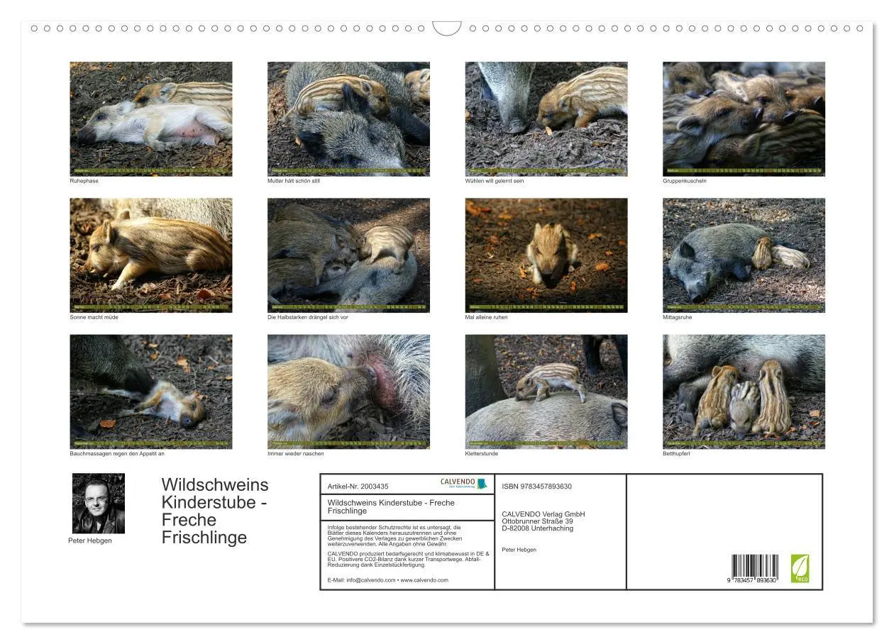 Bild: 9783457893630 | Wildschweins Kinderstube - Freche Frischlinge (Wandkalender 2026...
