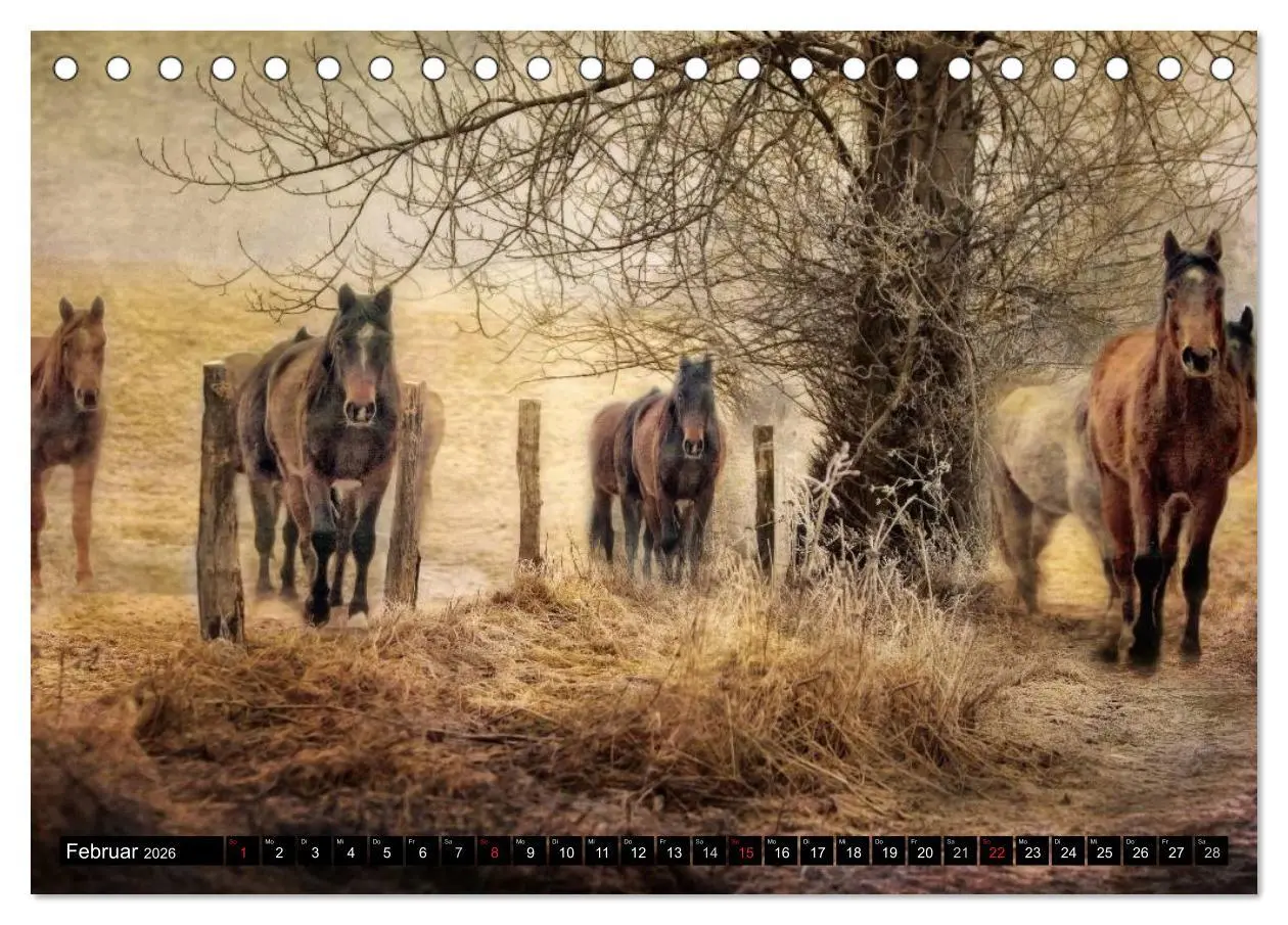 Bild: 9783457963630 | Western-Feeling (Tischkalender 2026 DIN A5 quer), CALVENDO...