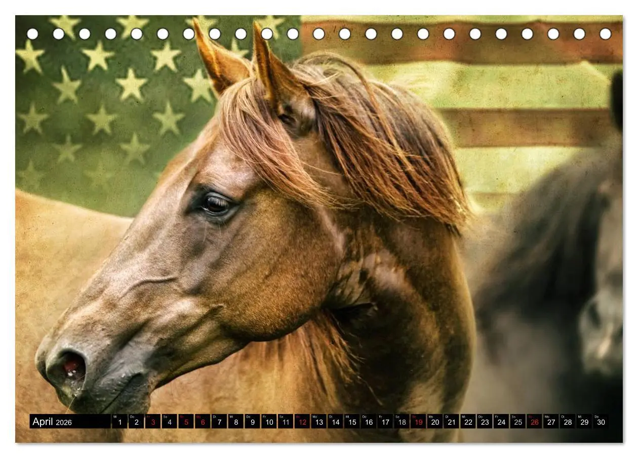 Bild: 9783457963630 | Western-Feeling (Tischkalender 2026 DIN A5 quer), CALVENDO...