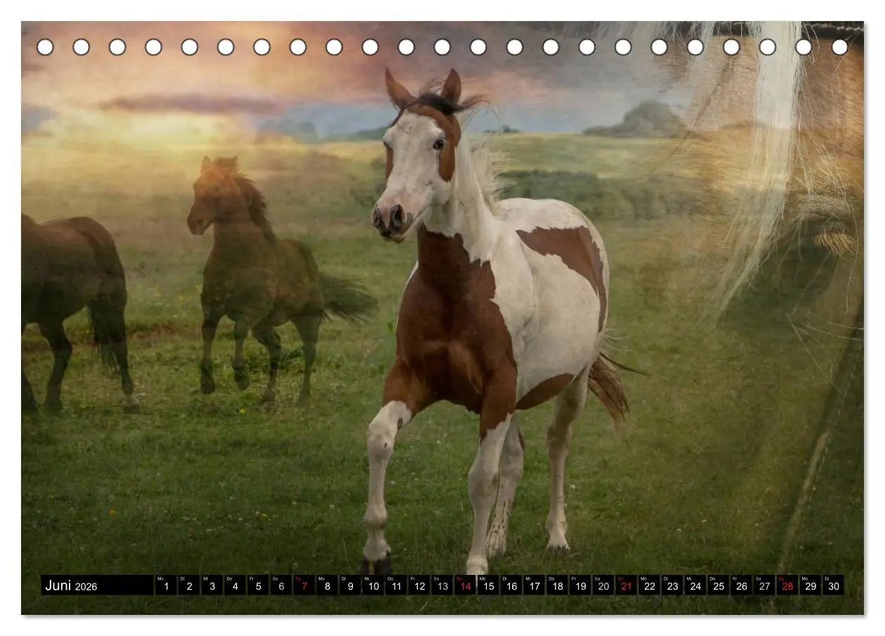 Bild: 9783457963630 | Western-Feeling (Tischkalender 2026 DIN A5 quer), CALVENDO...