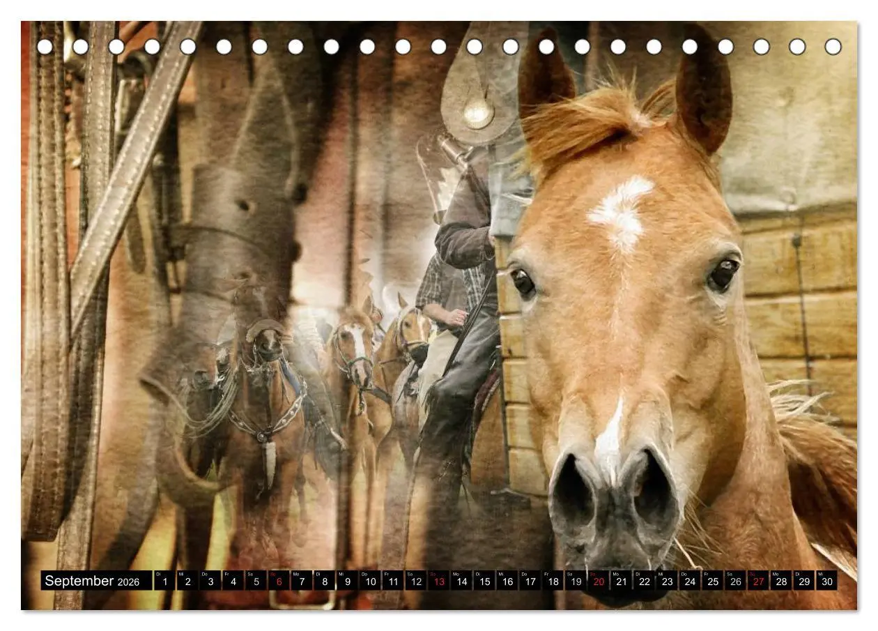 Bild: 9783457963630 | Western-Feeling (Tischkalender 2026 DIN A5 quer), CALVENDO...