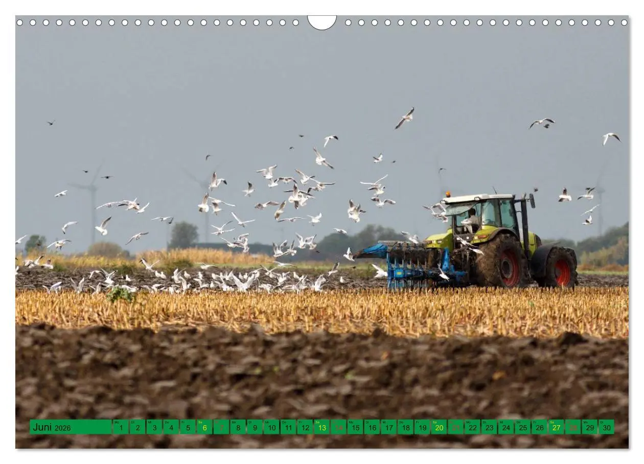 Bild: 9783516053630 | Landwirtschaft - Maschinen im Einsatz (Wandkalender 2026 DIN A3...