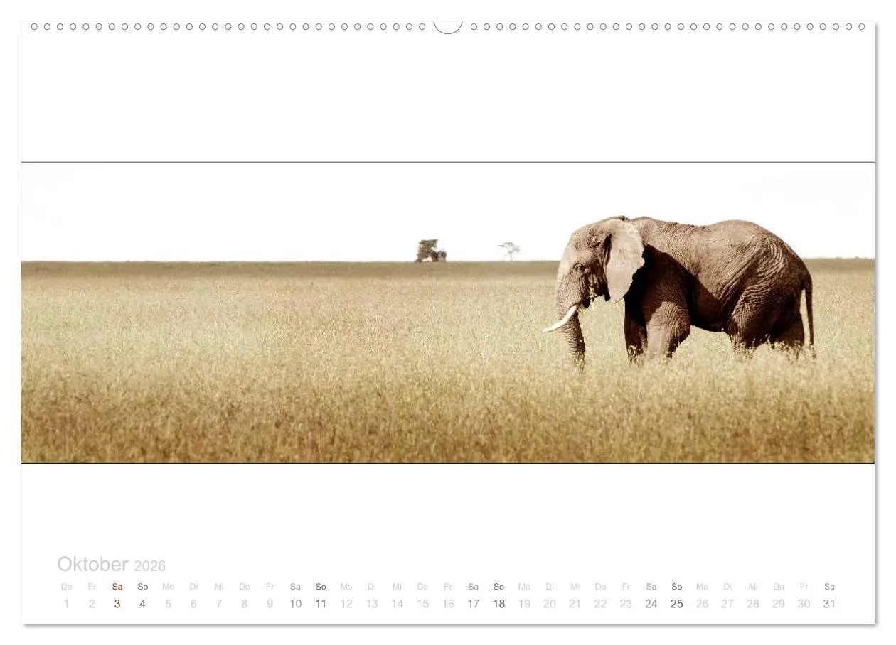 Bild: 9783516123630 | Serengeti Panorama (hochwertiger Premium Wandkalender 2026 DIN A2...